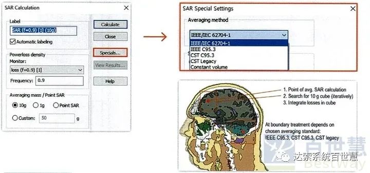 CST基础057-计算人体比吸收率（SAR）