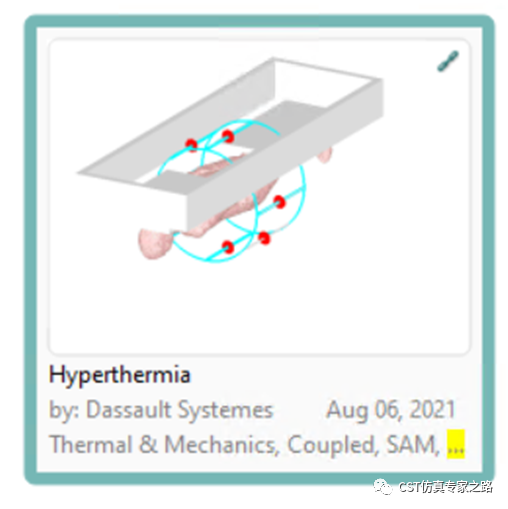 CST仿真实例：热疗Hyperthermia -生物模型，血液对